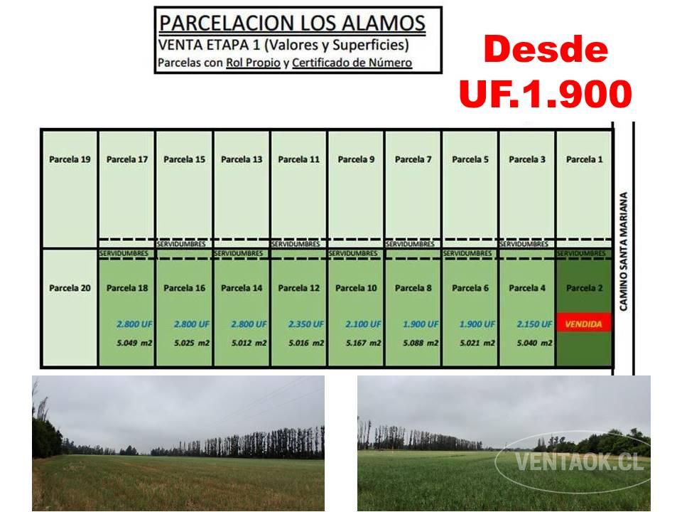 Venta Parcelación Los Álamos, Camino Sta. Mariana, Talagante