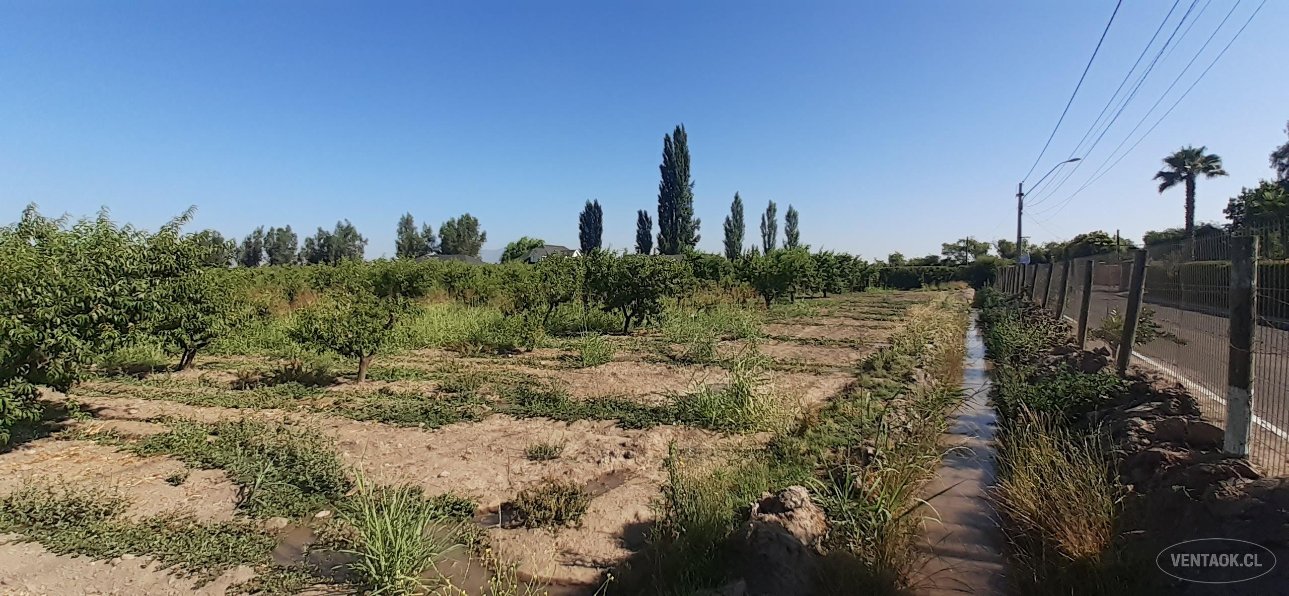 TERRENO 5.000 m2. AUTOPISTA PEÑAFLOR