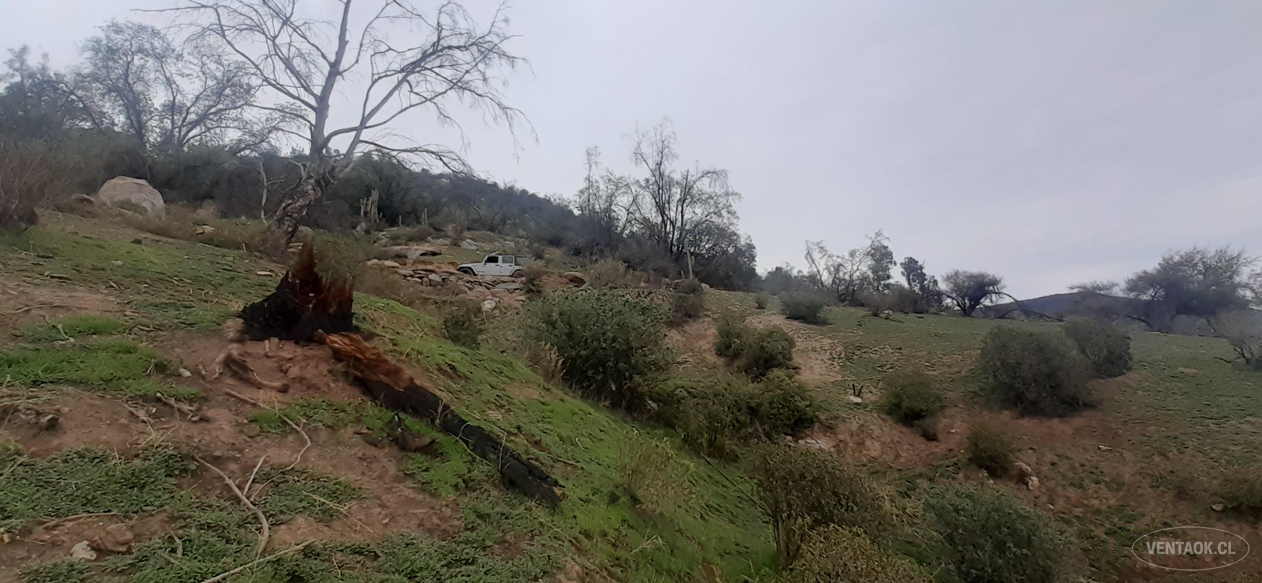OPORTUNIDAD Venta Terreno Insuperable Vista, sector San Juan.