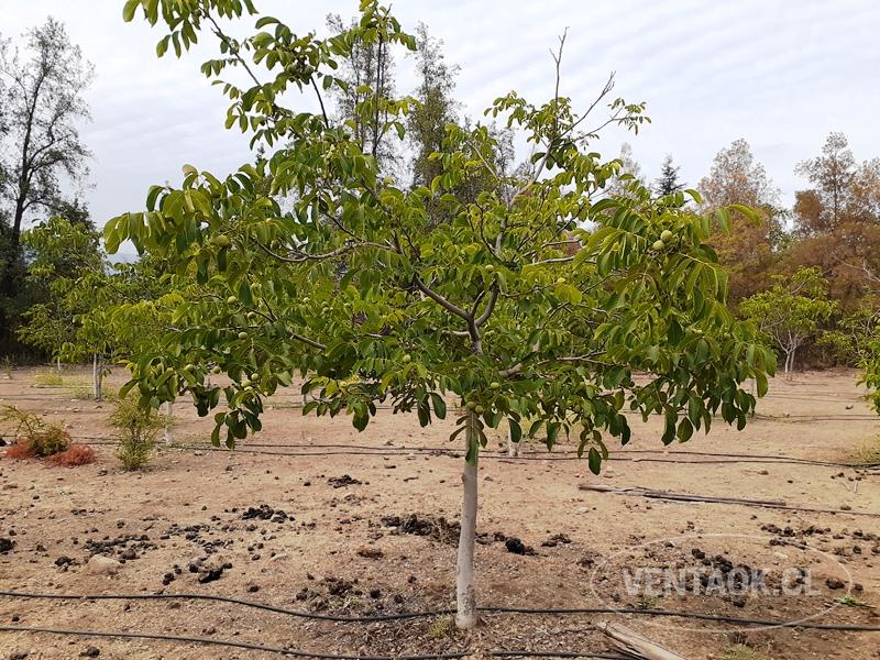 TERRENOS PLANOS