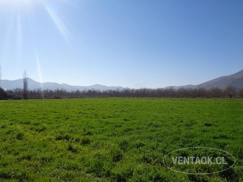 TERRENO PLANO